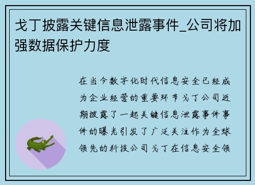 戈丁披露关键信息泄露事件_公司将加强数据保护力度