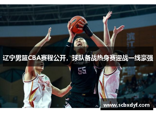 辽宁男篮CBA赛程公开，球队备战热身赛迎战一线豪强