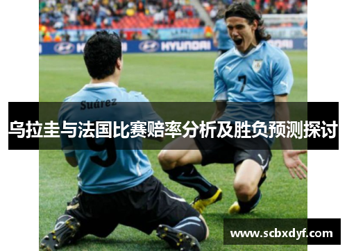 乌拉圭与法国比赛赔率分析及胜负预测探讨