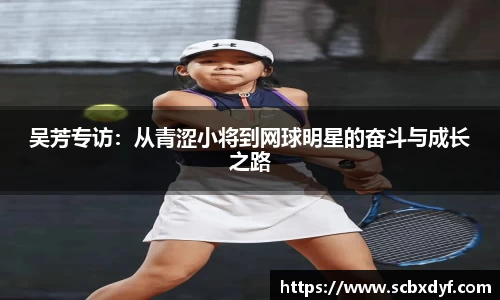 OB电竞官方下载