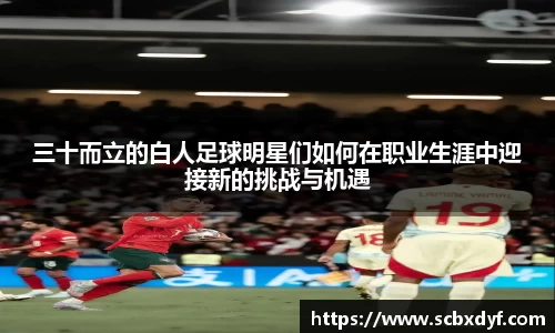 OB电竞·(中国)电子竞技平台