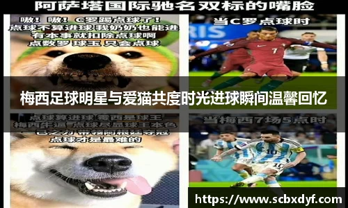 OB电竞官方下载