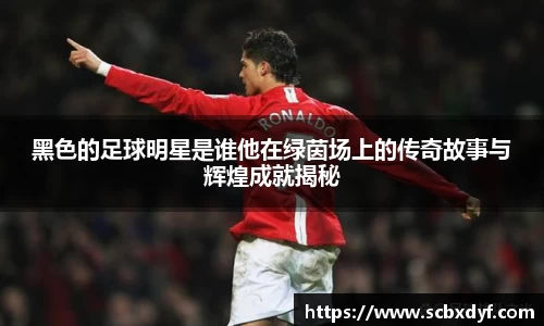 OB电竞官方下载